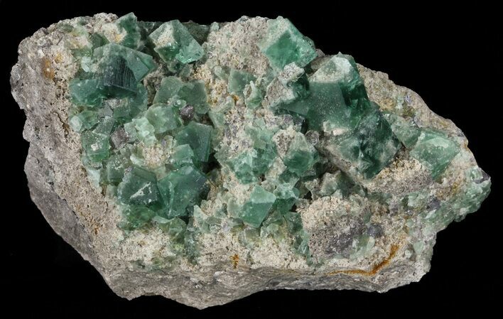 Fluorite & Galena Cluster - Rogerley Mine #60370